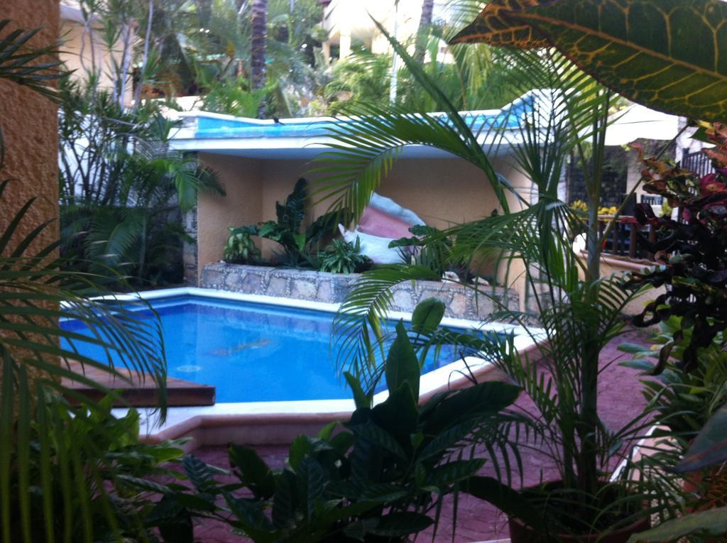 Vista Caribe Diving Resort プレヤデルカーメン エクステリア 写真