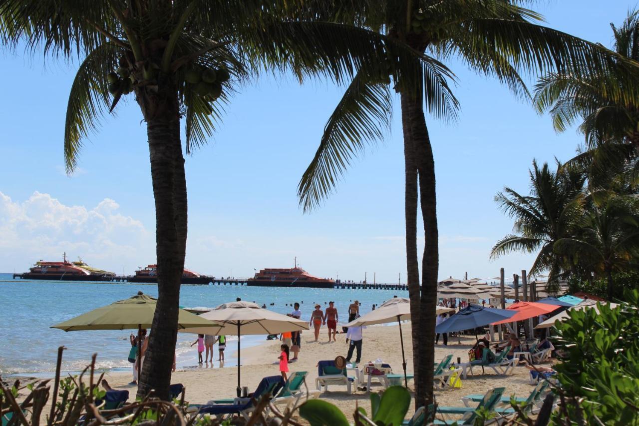 Vista Caribe Diving Resort プレヤデルカーメン エクステリア 写真